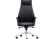 APEX YÖNETİCİ KOLTUĞU