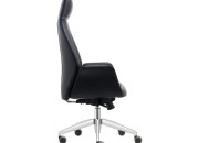 APEX YÖNETİCİ KOLTUĞU