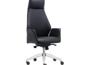 APEX YÖNETİCİ KOLTUĞU