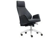 APEX YÖNETİCİ KOLTUĞU