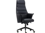 AVİS YÖNETİCİ KOLTUĞU