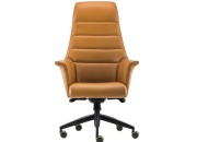 AVİS YÖNETİCİ KOLTUĞU