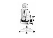 BONİTA YÖNETİCİ KOLTUĞU (BEYAZ PLASTİK GÖVDE /PLASTİK AYAK )