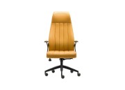 PUMA YÖNETİCİ KOLTUĞU