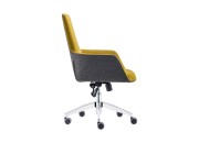 ROMA YÖNETİCİ KOLTUĞU