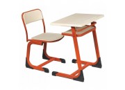 SİNGLE-MANZALİT SCHOOL ORDER OK-101