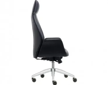 APEX YÖNETİCİ KOLTUĞU