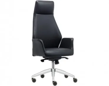 APEX YÖNETİCİ KOLTUĞU