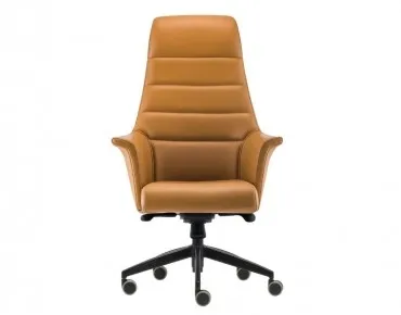 AVİS YÖNETİCİ KOLTUĞU