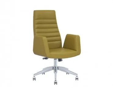 LİVE YÖNETİCİ KOLTUĞU