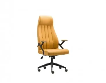 PUMA YÖNETİCİ KOLTUĞU