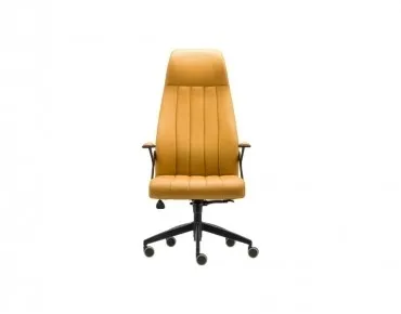 PUMA YÖNETİCİ KOLTUĞU